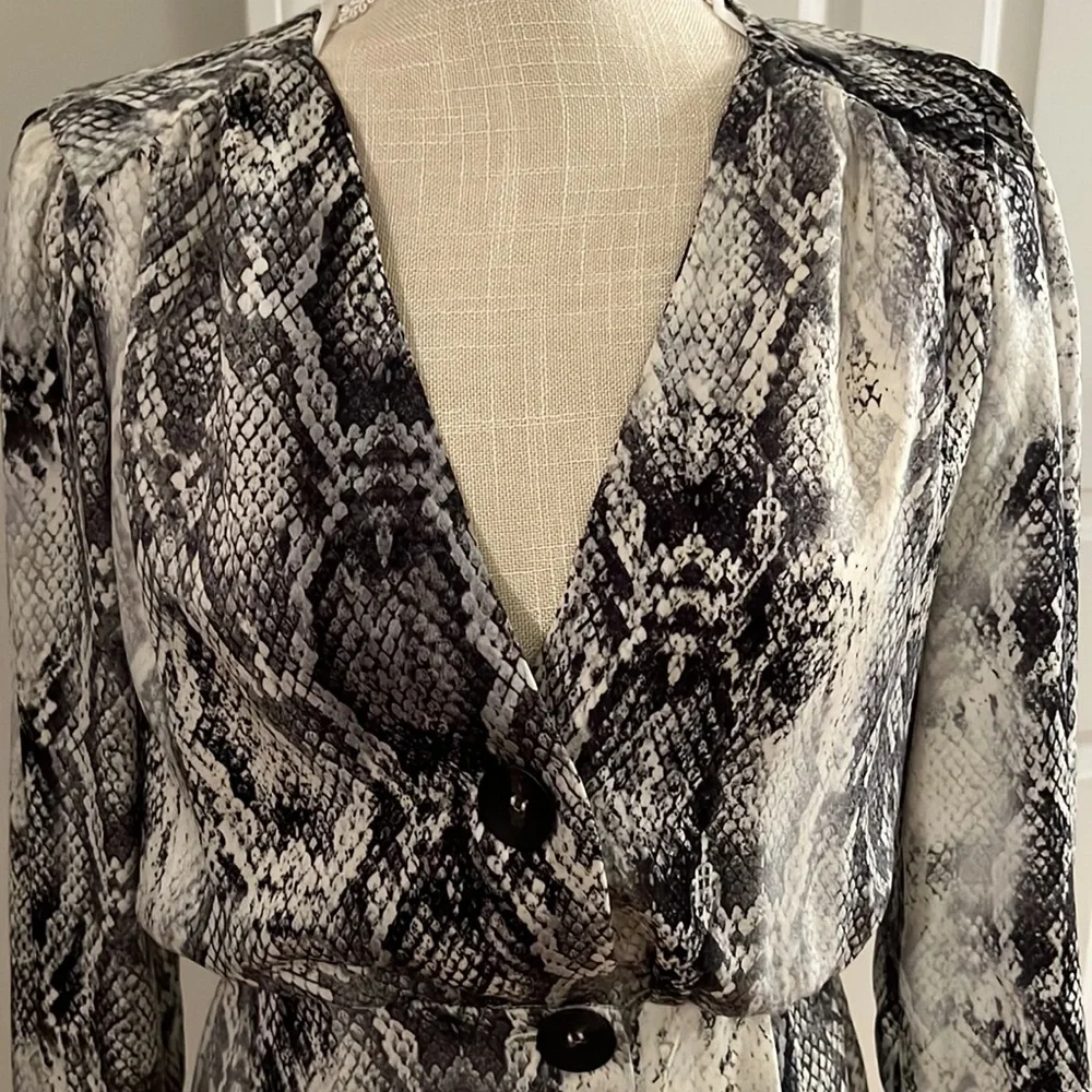 Zara dress - Picture 2 of 5